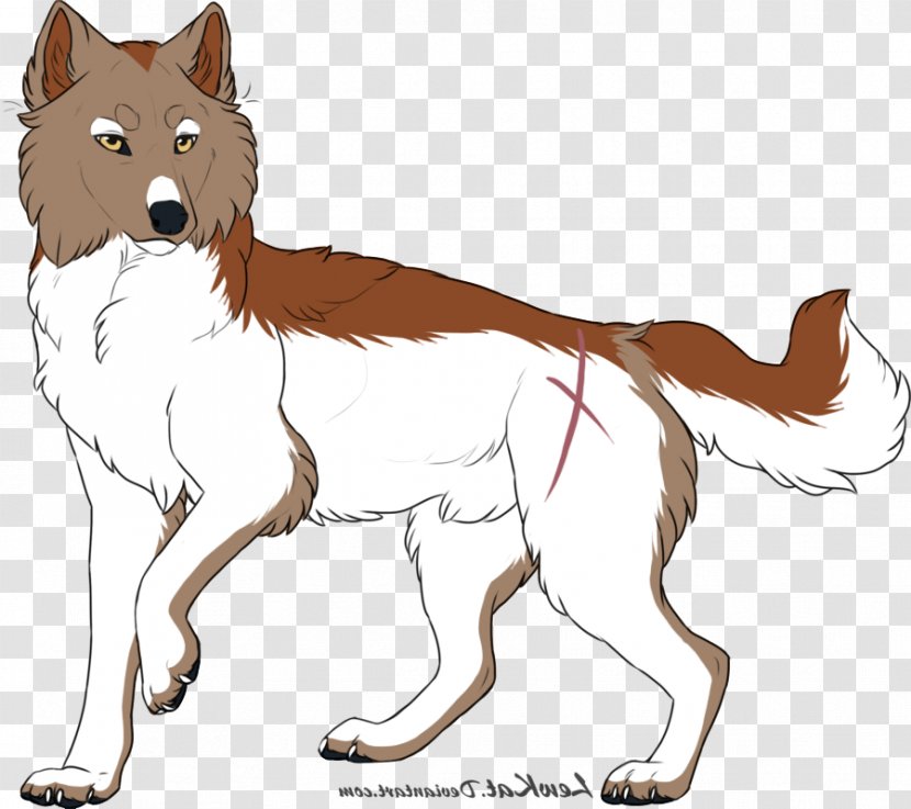 Icelandic Sheepdog Finnish Spitz Canaan Dog Breed Line Art - Referent Power Transparent PNG