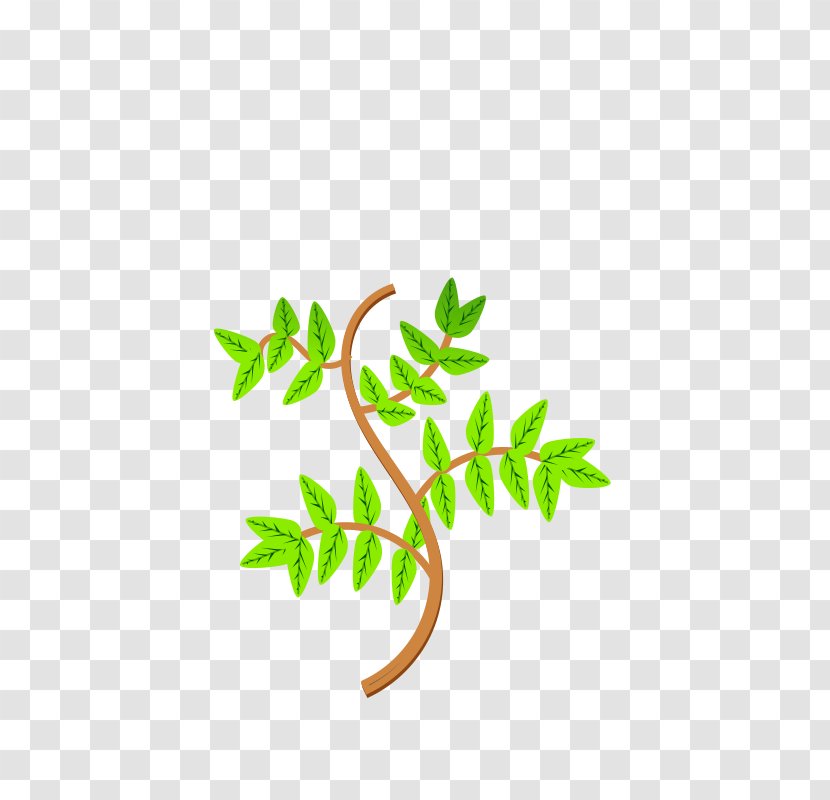 Leaf Branch Tree Clip Art - Plant Transparent PNG