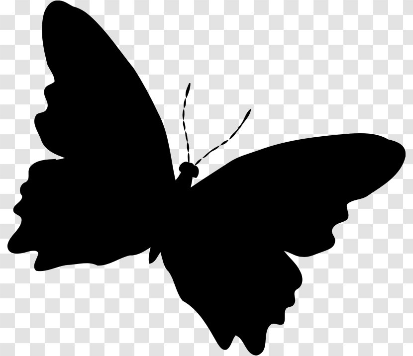 Butterfly Silhouette Clip Art - Monochrome Transparent PNG