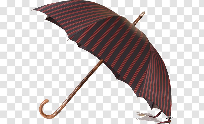 Umbrella Clothing Accessories Piganiol Parapluies Leather Transparent PNG