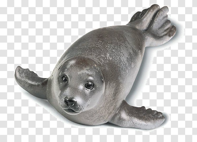 Harbor Seal Seals & Sea Lions Earless Schleich - Marine Life Transparent PNG