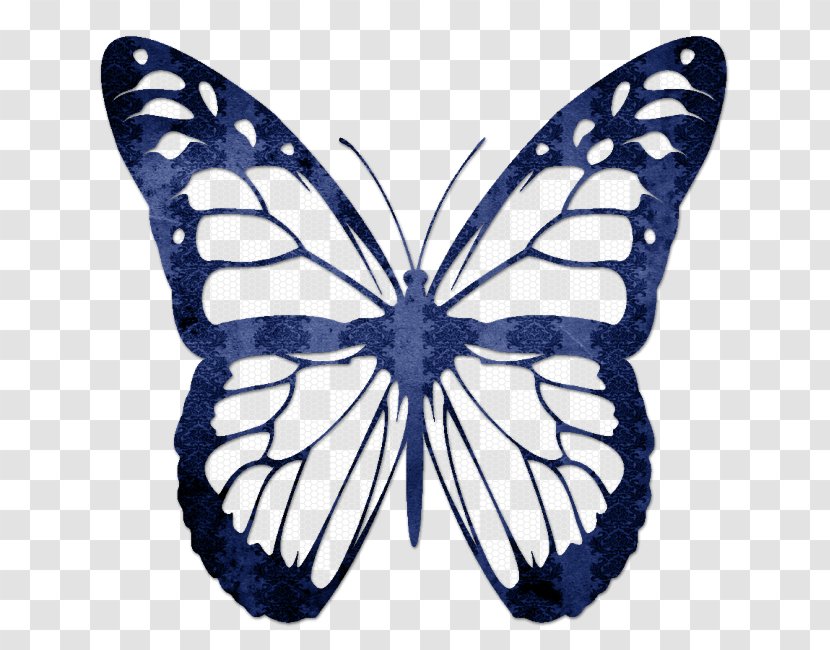 TP Legal Ltd Solicitors Kleurplaat Butterflies And Moths Animation Child - Pollinator - Blue Butterfly Transparent PNG