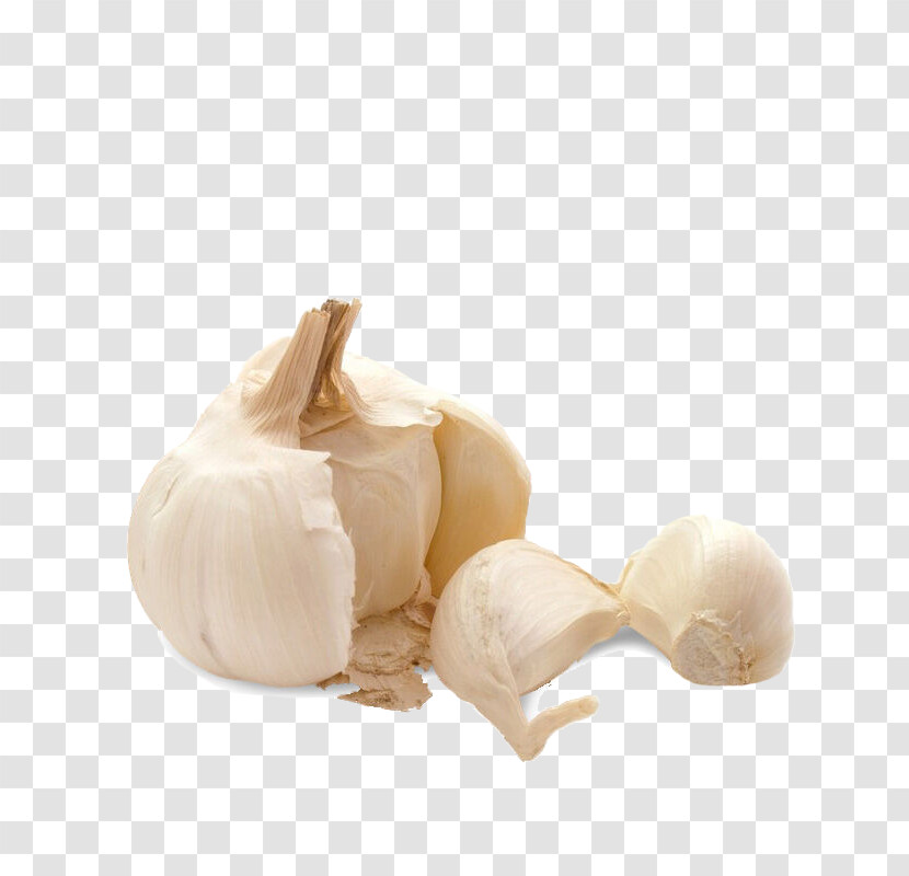 Garlic Elephant Garlic Food Vegetable Ingredient Transparent PNG