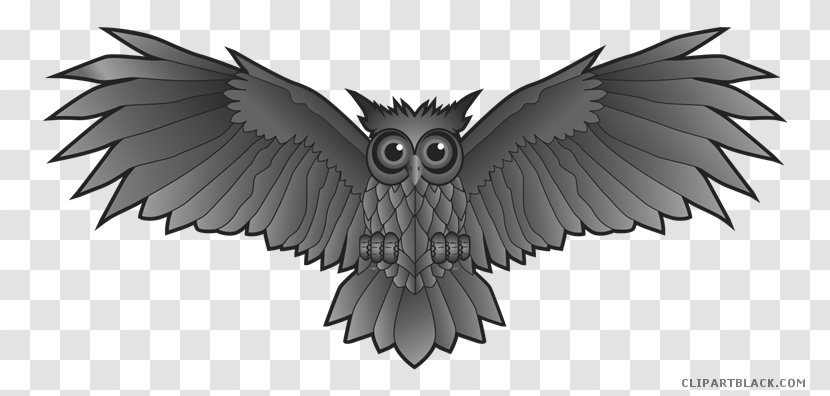 Clip Art Vector Graphics Image Illustration - Eagle - Blacj White Owl Transparent PNG