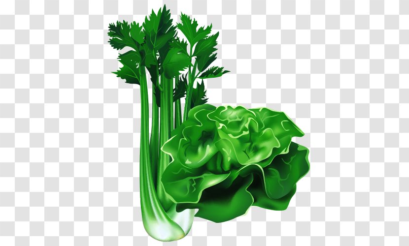 Leaf Vegetable Cartoon Food - Celery - Vegetables Transparent PNG