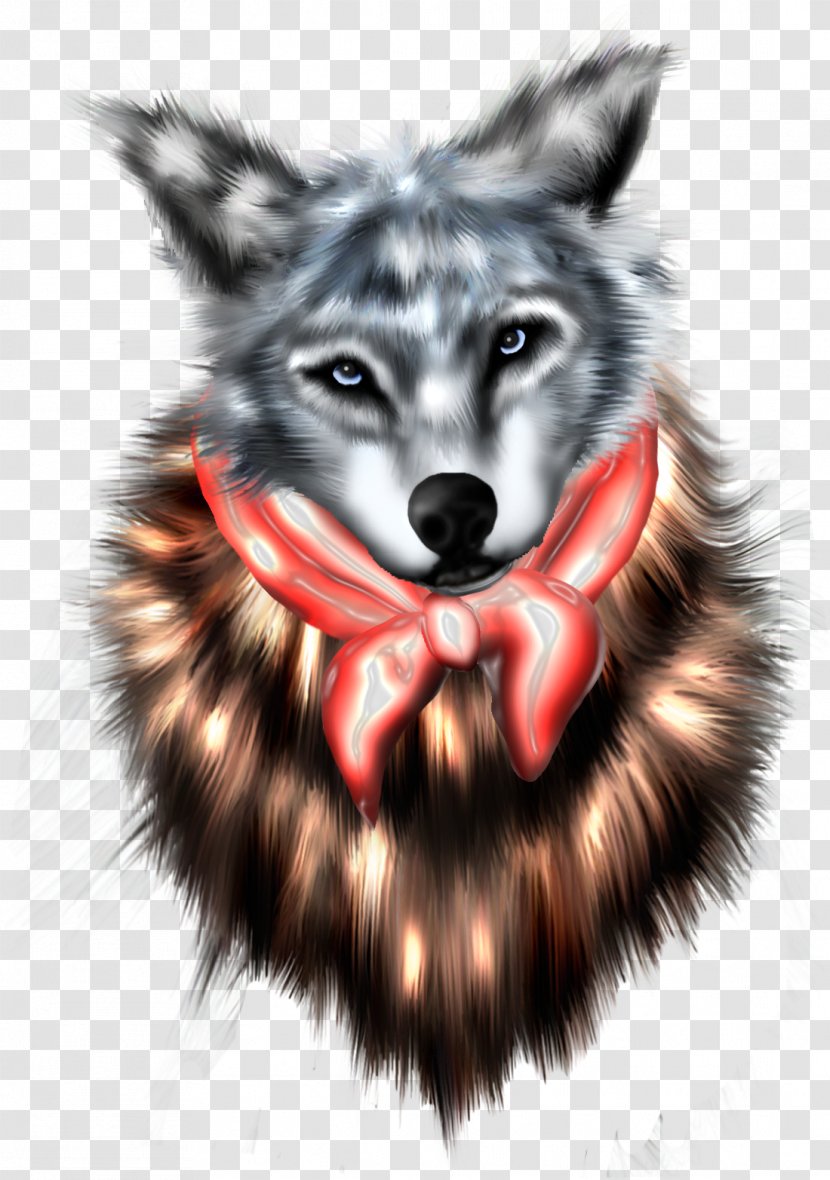 Dog Head Snout - Wildlife - Wolf Transparent PNG