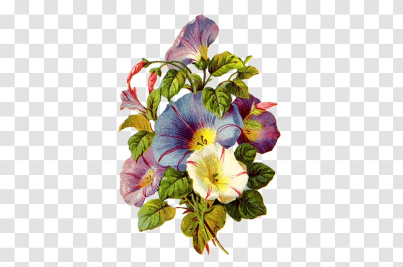 Work Of Art Morning Glory Drawing Painting - Flower Arranging Transparent PNG