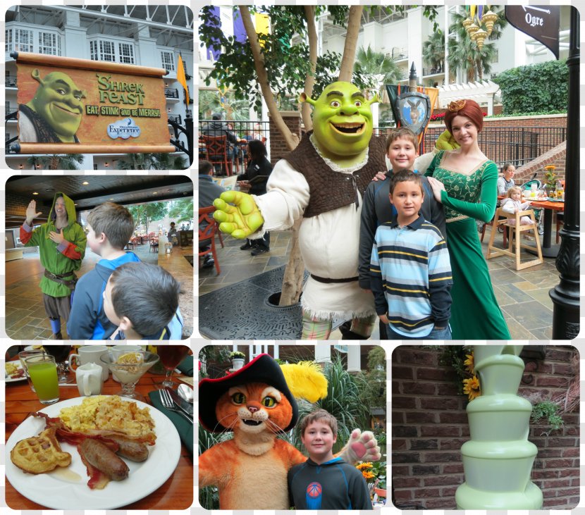 Gaylord Opryland Resort & Convention Center DreamWorks Experience Princess Fiona Shrek Film Series - The Halls - Feast Candy Transparent PNG