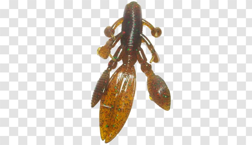 Animal Source Foods Insect Pest Decapods - Invertebrate - Silver Bass Texas Transparent PNG
