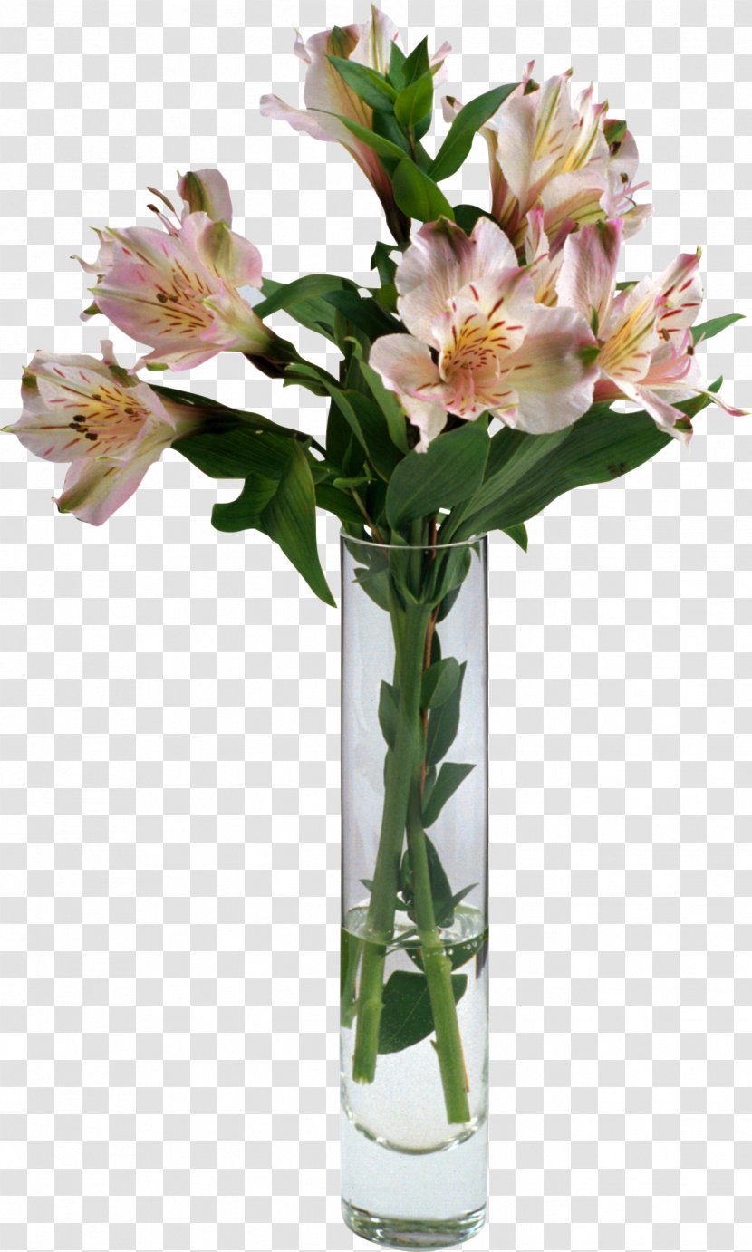 Cut Flowers Floral Design Plant - Flowerpot - Waterflower Transparent PNG