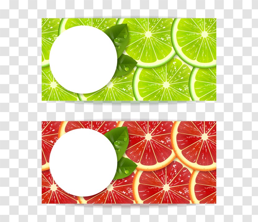 Lemon Mandarin Orange Illustration - Green - Fresh Fruit Vector Material Transparent PNG