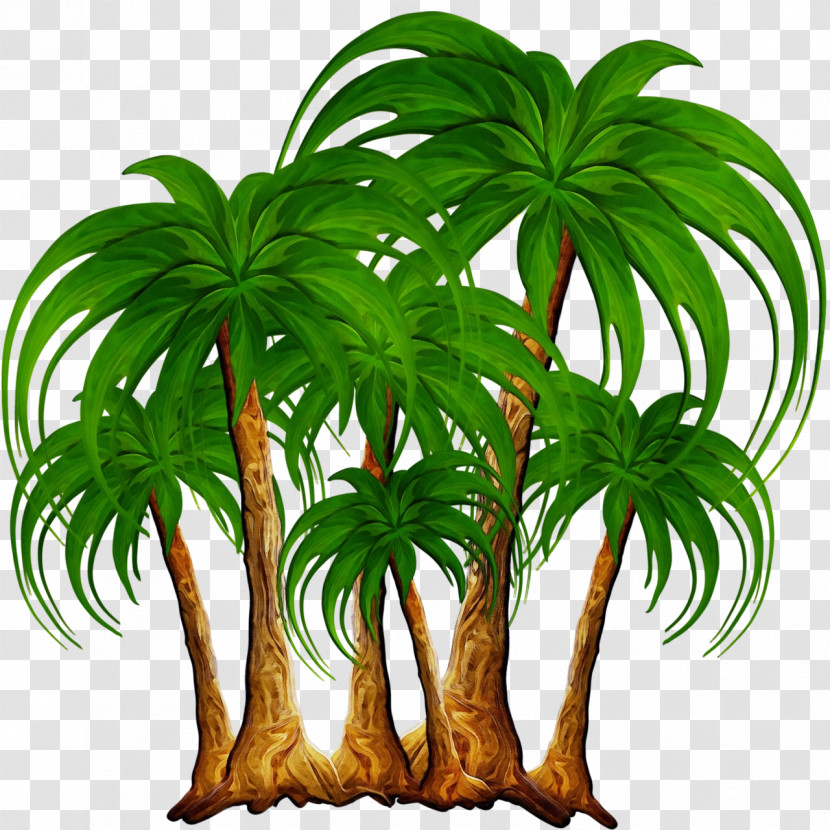 Palm Trees Transparent PNG