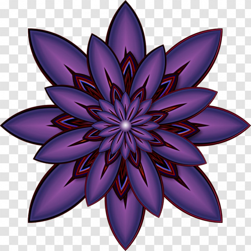 Symmetry Flowering Plant Pattern - Violet - Flowers Lila Transparent PNG
