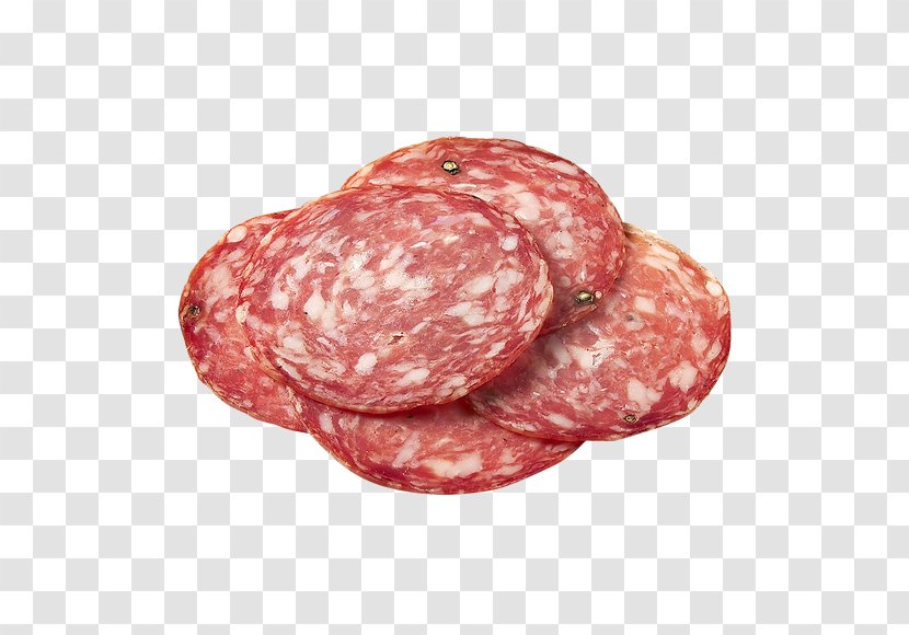 Salami Soppressata Bresaola Blood Sausage Mettwurst - Kielbasa - Meat Transparent PNG