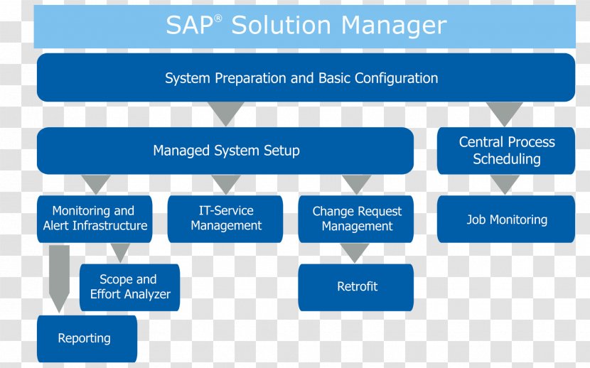 SAP Solution Manager SE Organization Application Lifecycle Management Enterprise Asset - Online Advertising - It Service Transparent PNG