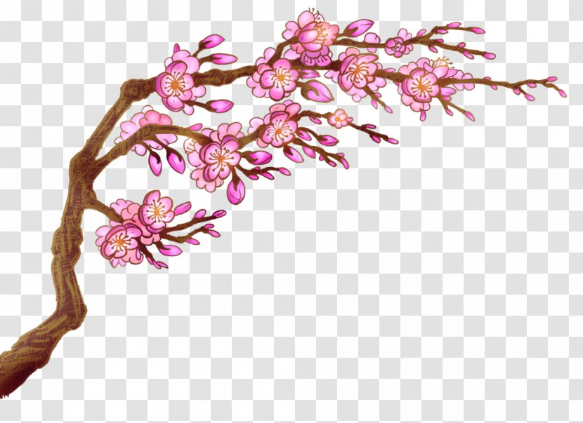 Cherry Blossom Flower - Affter Effects Transparent PNG