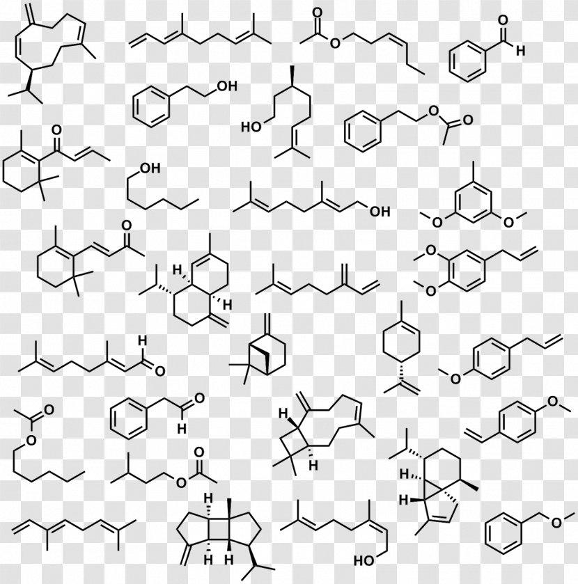 IUPAC Nomenclature Of Organic Chemistry International Union Pure And Applied Chemical - Chirality - Characterization Transparent PNG