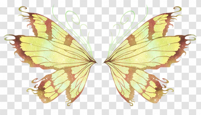 Butterfly Wing Tattoo Greta Oto - Invertebrate Transparent PNG