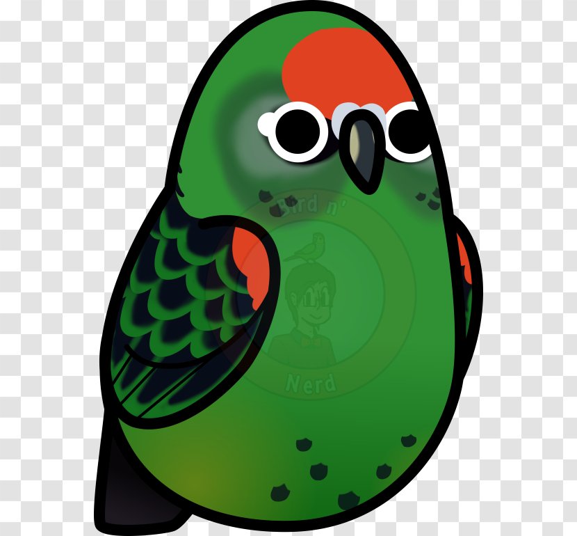 Beak Clip Art Amphibian Green Illustration Transparent PNG