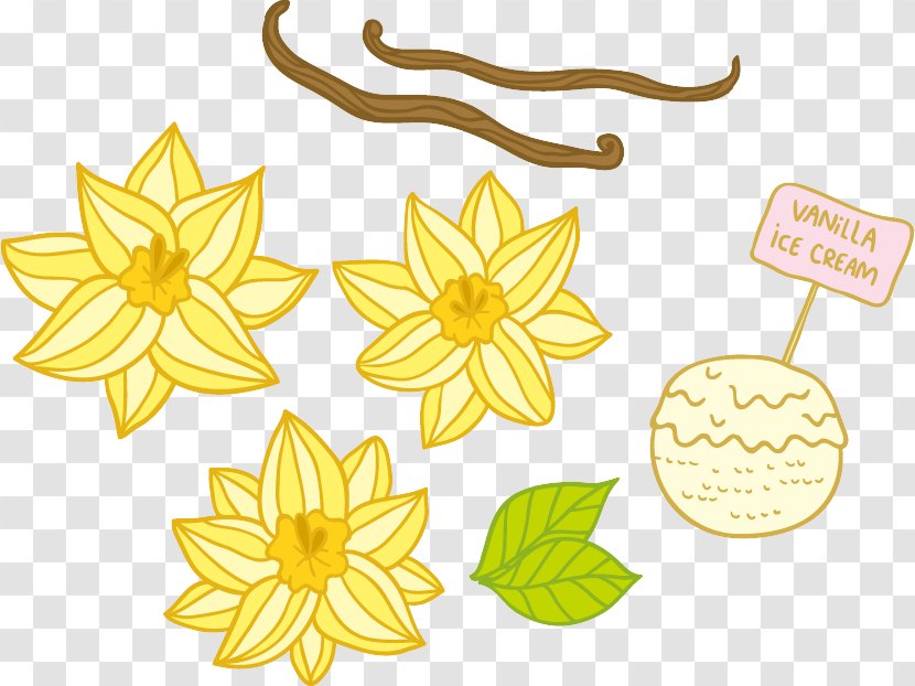 Flower Vanilla Euclidean Vector Floral Design - Osmanthus Ice Cream Transparent PNG