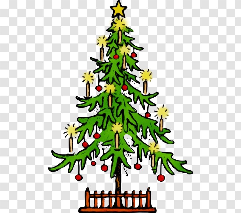 Christmas Tree - Eve - Plant Transparent PNG