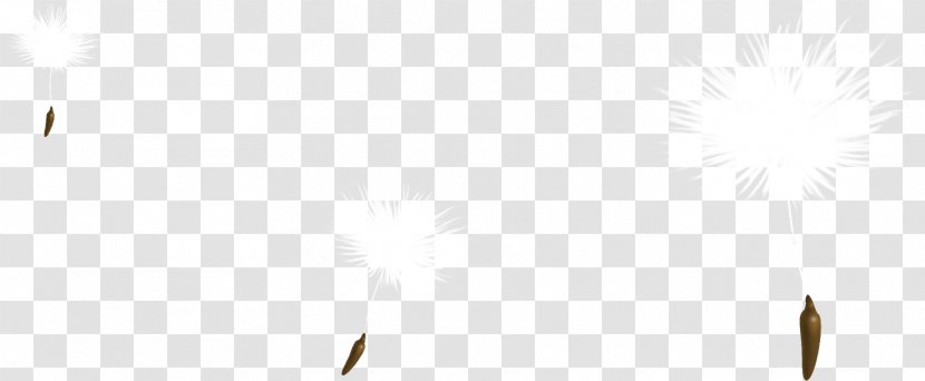 Paper Angle Pattern - Material - Beautiful White Dandelion Transparent PNG