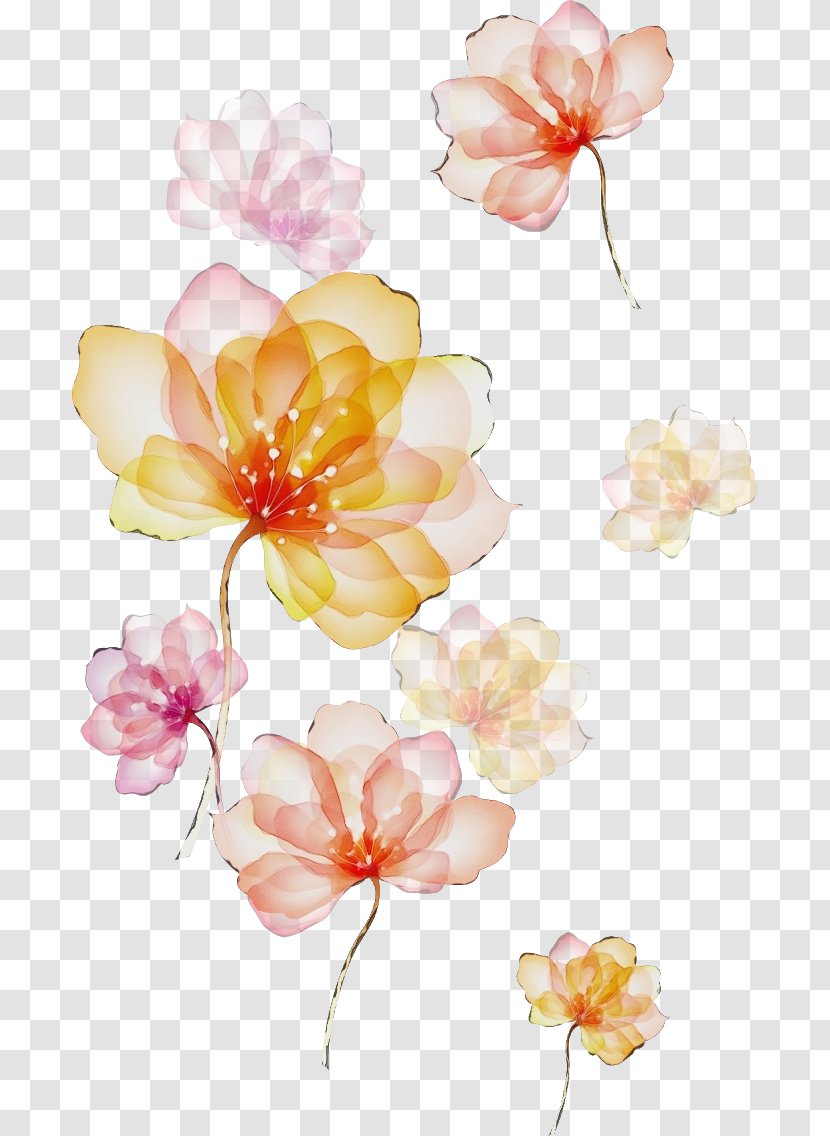 Petal Flower Pink Watercolor Paint Plant - Cut Flowers Blossom Transparent PNG