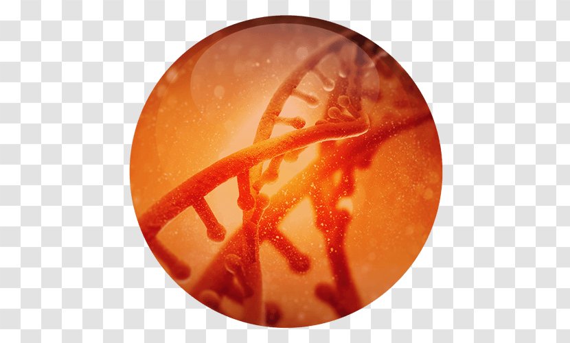 DNA Cell Biotechnology Library Illumina - Orange - Variant Cancer Transparent PNG