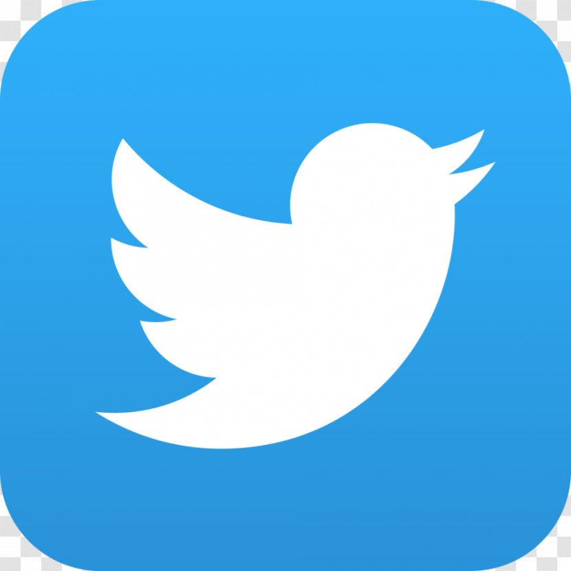 Social Media Logo Information - Fictional Character - Twitter Transparent PNG