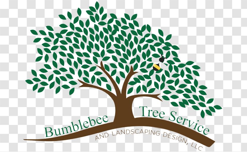 Branch Bumblebee Tree Service & Landscape Design LLC Arborist - Plant Transparent PNG