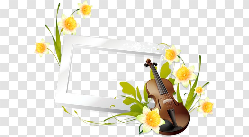 Violin Euclidean Vector Flower - Cello - Leisure Time White Border Transparent PNG