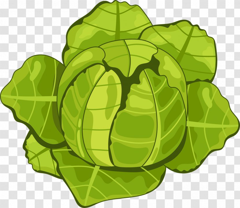 Organic Food Vegetable Cabbage Tomato - Vector Vegetables Cauliflower Transparent PNG