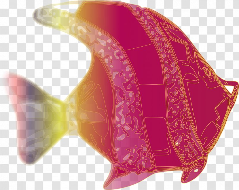Clip Art - Ornament - Fish Transparent PNG