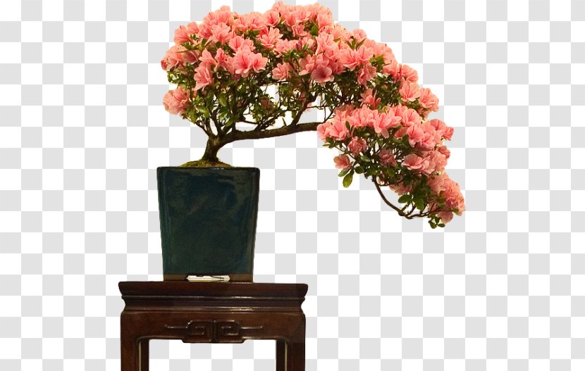 Indoor Bonsai Flowerpot Rhododendron Indicum Tree - Shrub Transparent PNG