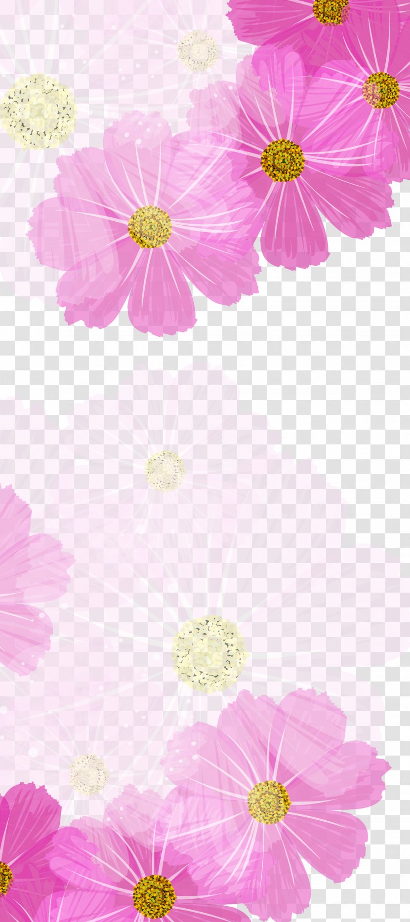 Chrysanthemum Color Purple - Floristry - Background Transparent PNG