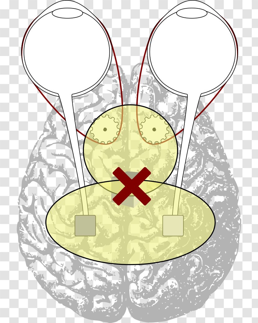 Motor Coordination Brain Engine Visual Perception Eye - Tree Transparent PNG