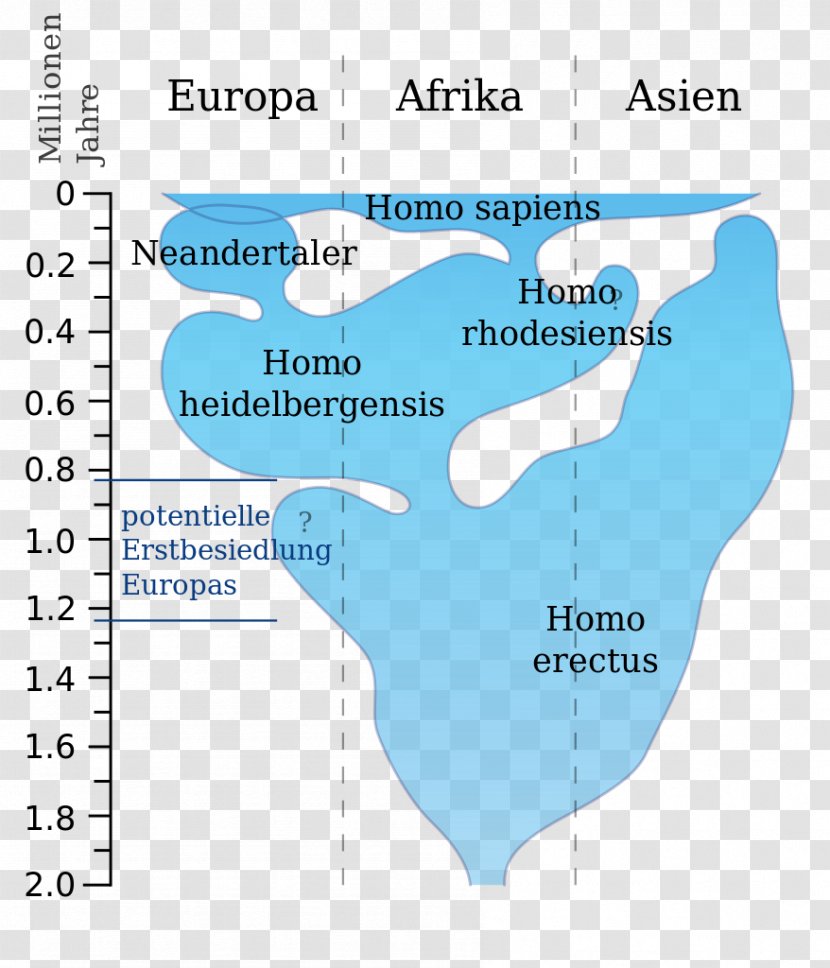 Water Resources Organism Line Map Angle - Diagram Transparent PNG