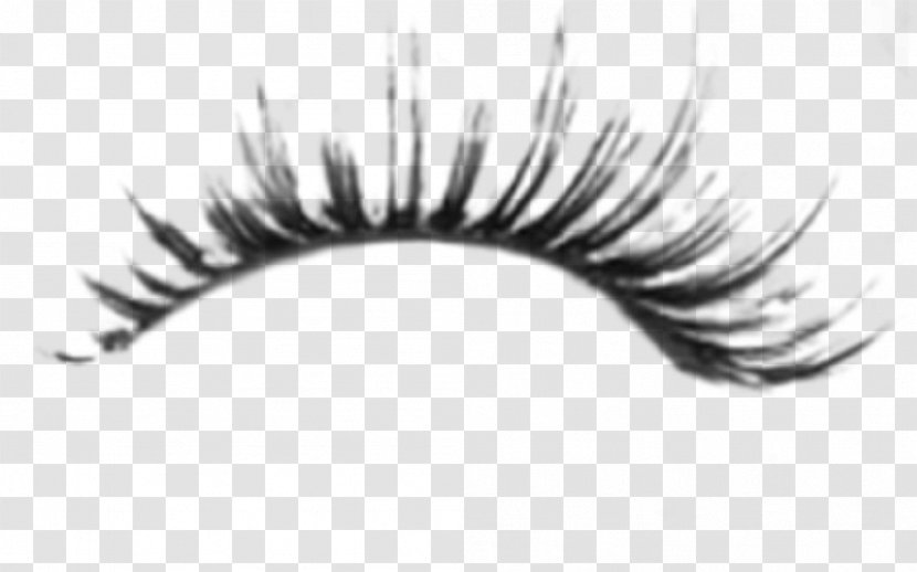 Eyelash Brush Eyebrow - Eye Transparent PNG