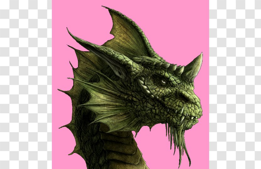 Dragon Of The Lost Sea Brisingr Eragon Inheritance Cycle - Tui T Sutherland Transparent PNG