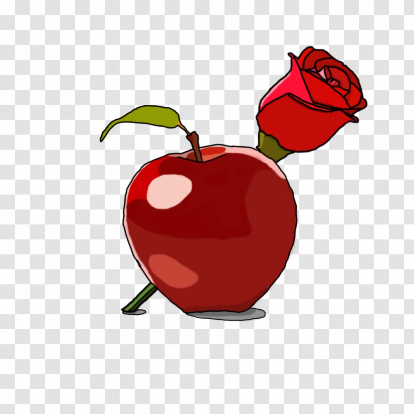 Apple Clip Art - Flowering Plant - Rose Transparent PNG
