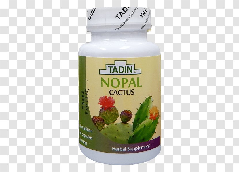 Herbal Tea Nopal Tadin Herb & Co. - Aloe Vera Transparent PNG