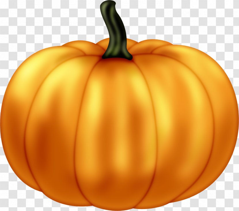 Jack-o'-lantern Calabaza Pumpkin Winter Squash Gourd - Cucurbita Maxima Transparent PNG