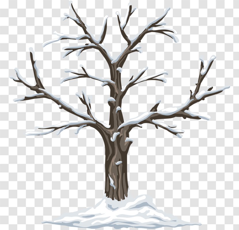 Season Kindergarten Garden Clip Art - Winter - Dead Trees Transparent PNG