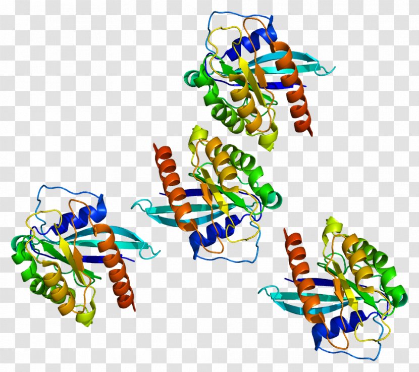 RAB7A Gene Cell Protein - Guanosine Triphosphate - Gtpase Transparent PNG