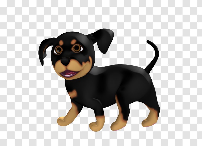Puppy Rottweiler Pinscher Dog Breed Companion - Vulnerable Native Breeds Transparent PNG