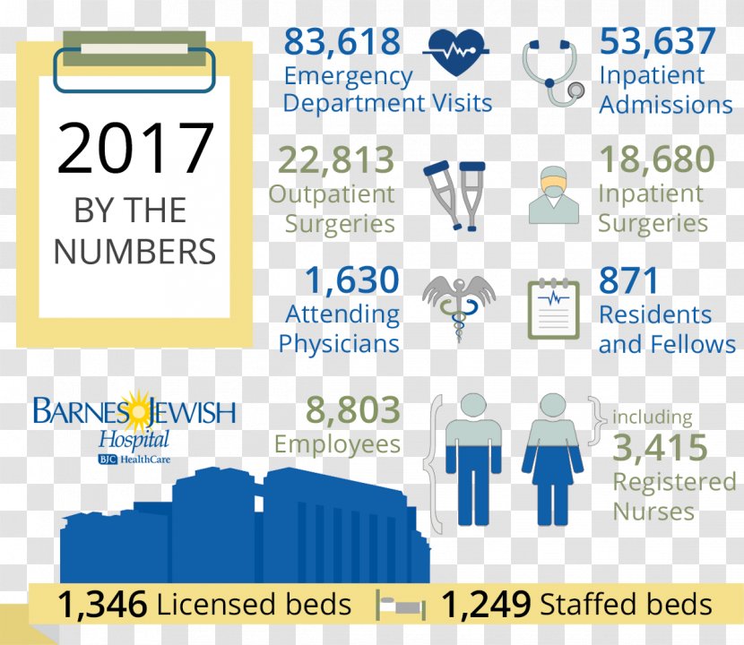 Patient Safety Diagram Barnes-Jewish Hospital Satisfaction - Hospitalacquired Infection - Statistics Transparent PNG