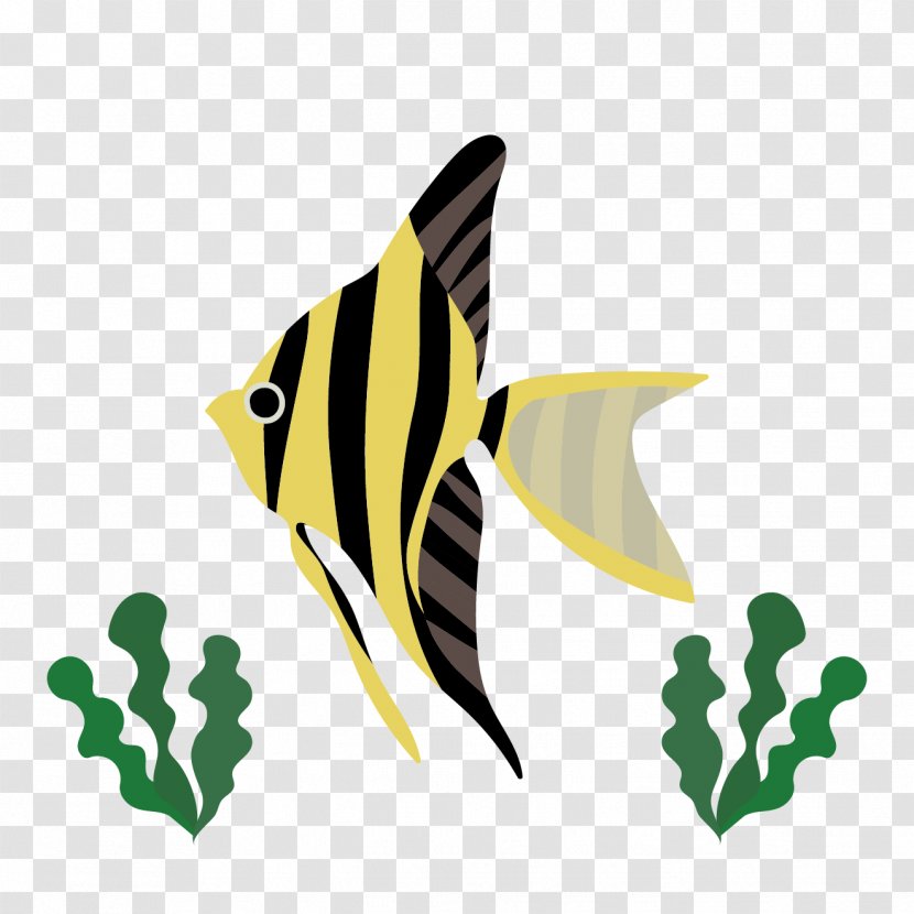 Angelfish Tropical Fish Clip Art - Invertebrate Transparent PNG