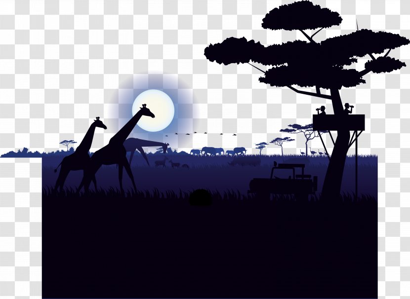 Northern Giraffe Illustration - Brand Transparent PNG