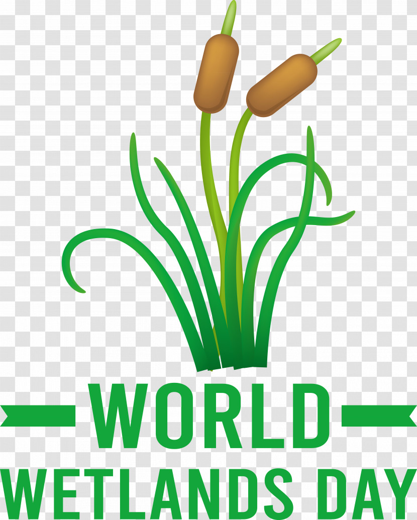 World Wetlands Day Transparent PNG