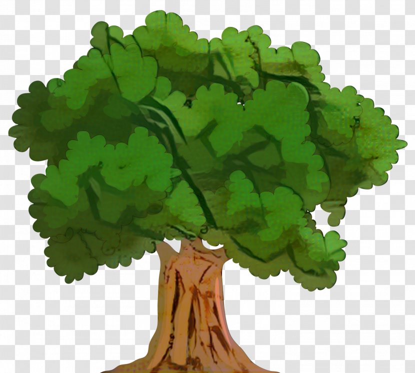 Tree Clip Art Birch Plants - Animation - Leaf Vegetable Transparent PNG